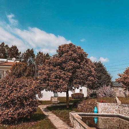 Windmill House Βίλα Santa Maria da Feira Εξωτερικό φωτογραφία